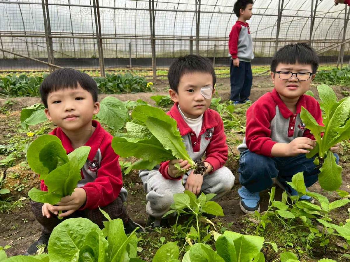 line_album_115.01.30餵雞拔菜_260130_27