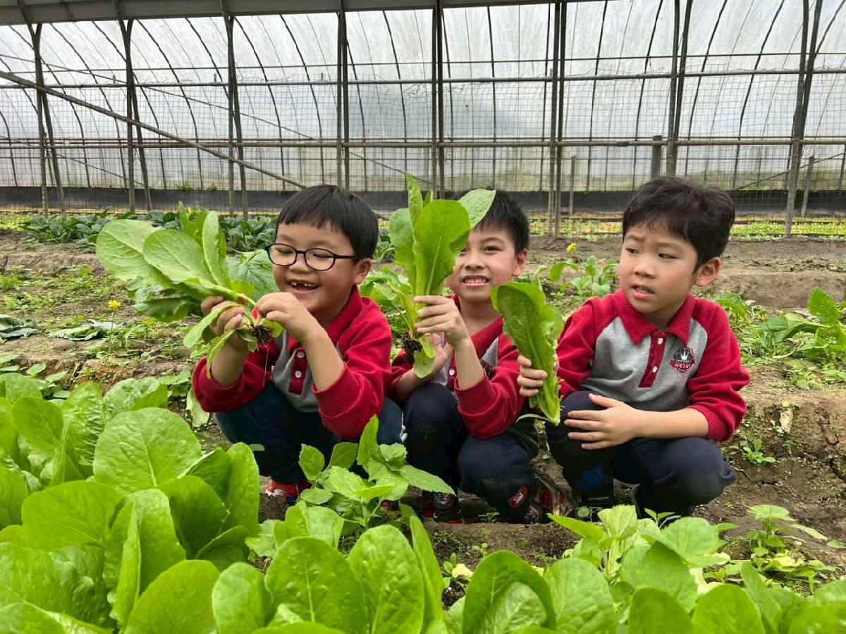 line_album_115.01.30餵雞拔菜_260130_29