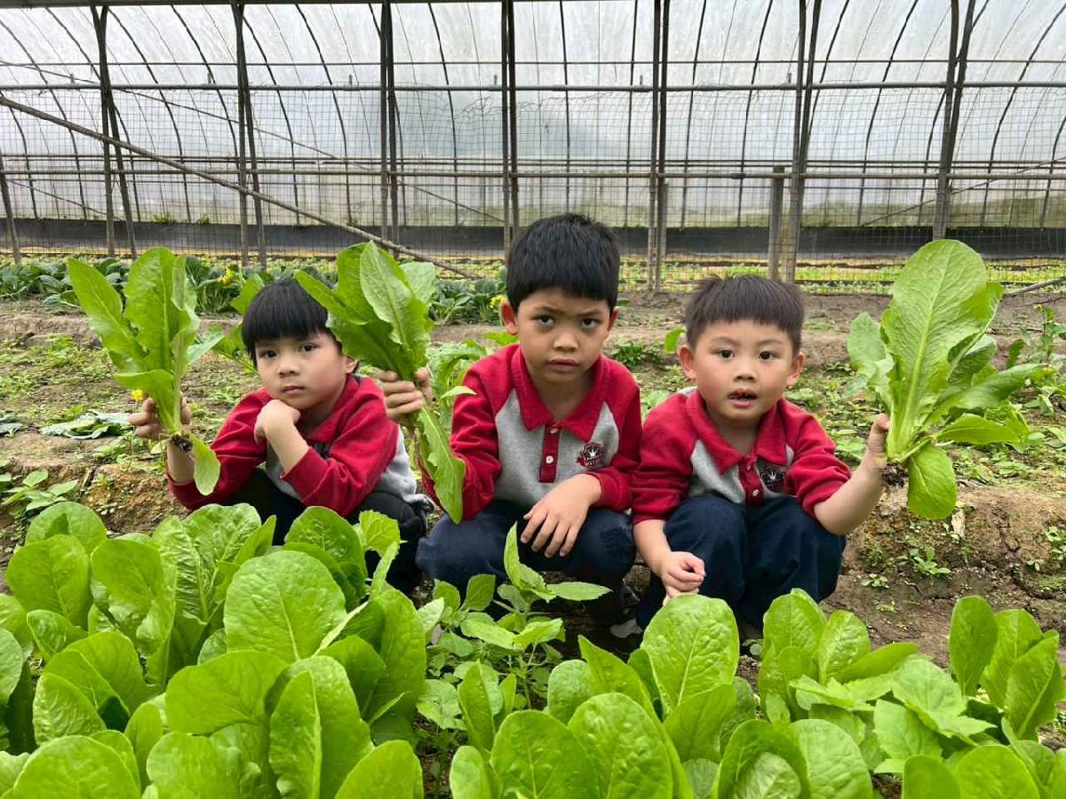 line_album_115.01.30餵雞拔菜_260130_32