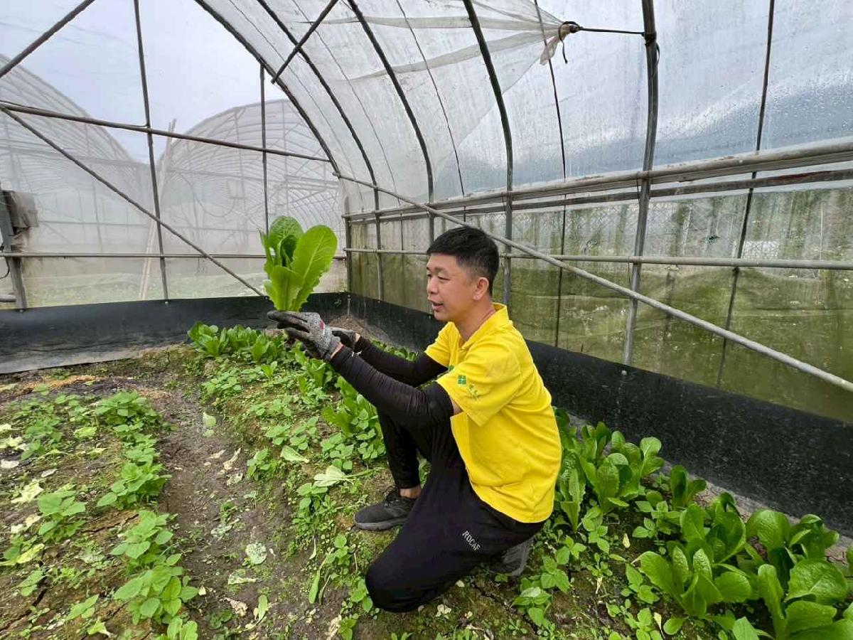 line_album_115.01.30餵雞拔菜_260130_35