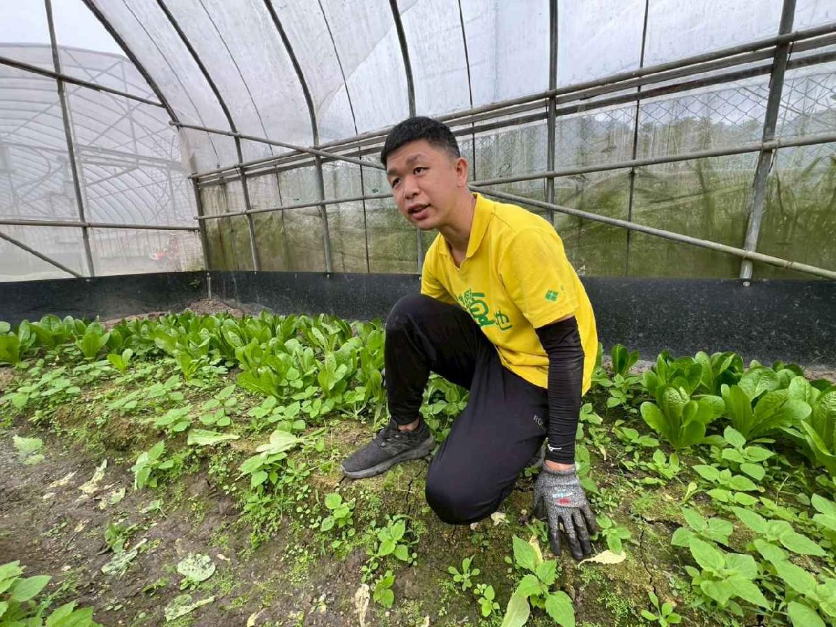 line_album_115.01.30餵雞拔菜_260130_36