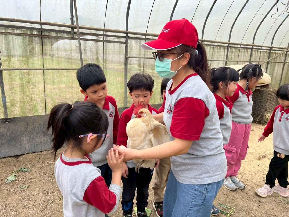 line_album_115.01.30餵雞拔菜_260130_39