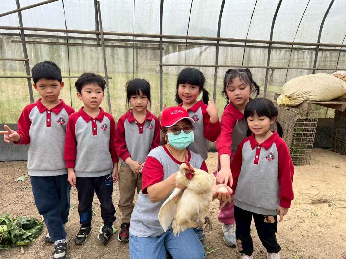 line_album_115.01.30餵雞拔菜_260130_40