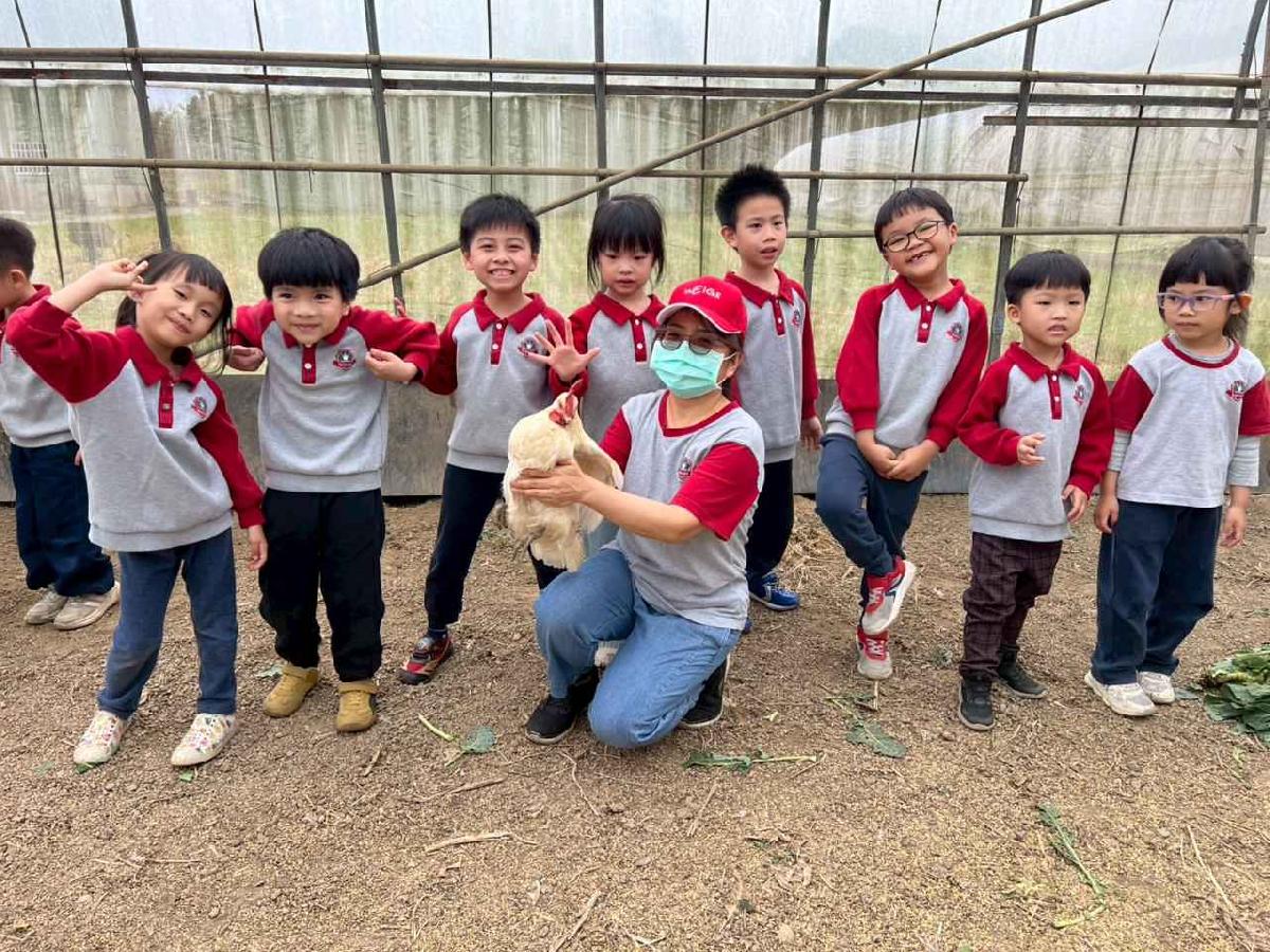 line_album_115.01.30餵雞拔菜_260130_42