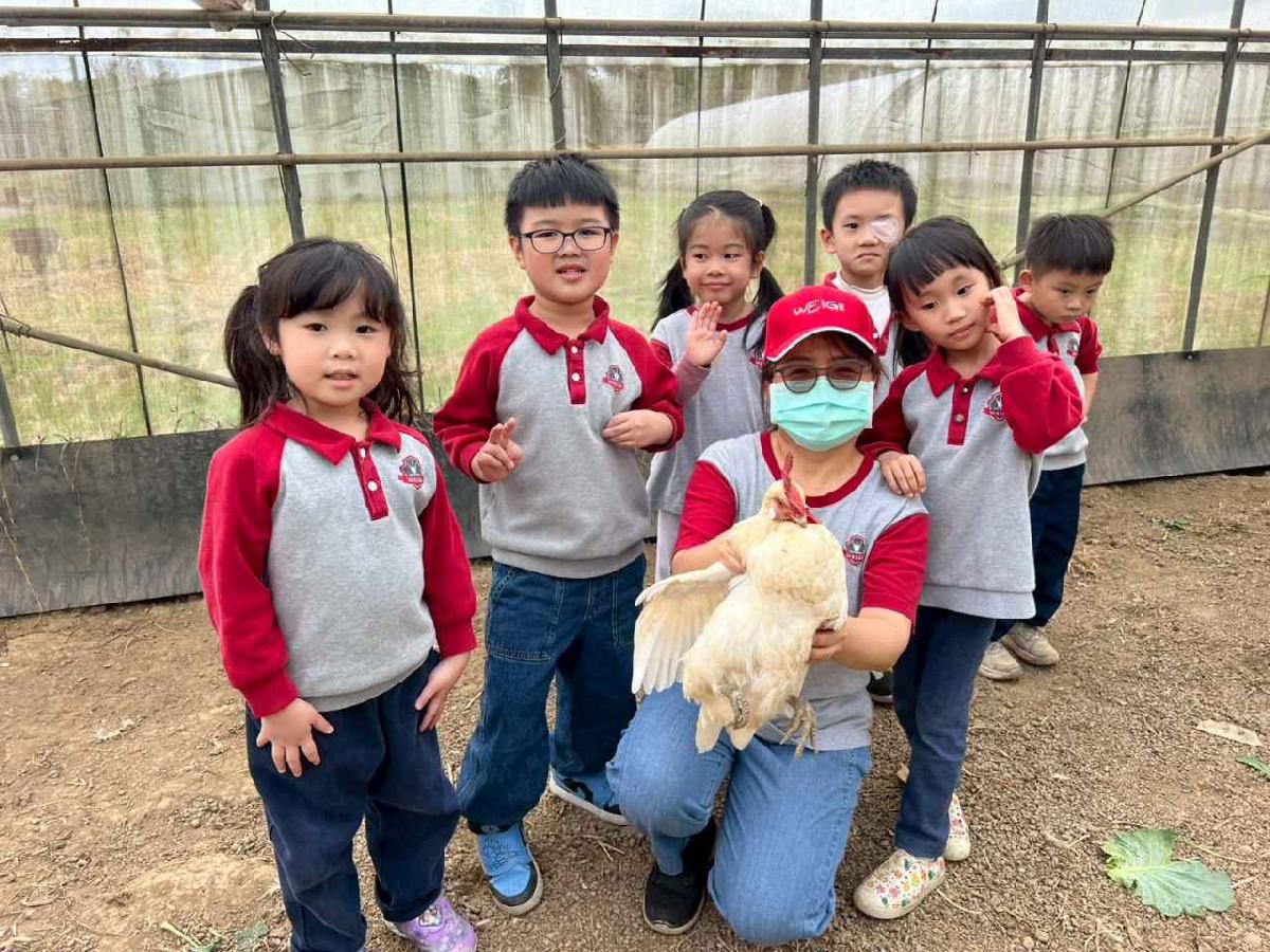 line_album_115.01.30餵雞拔菜_260130_43