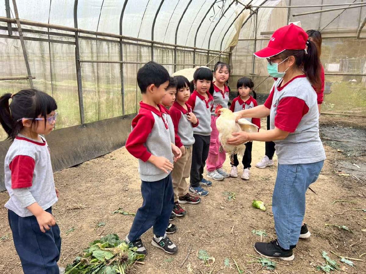 line_album_115.01.30餵雞拔菜_260130_48