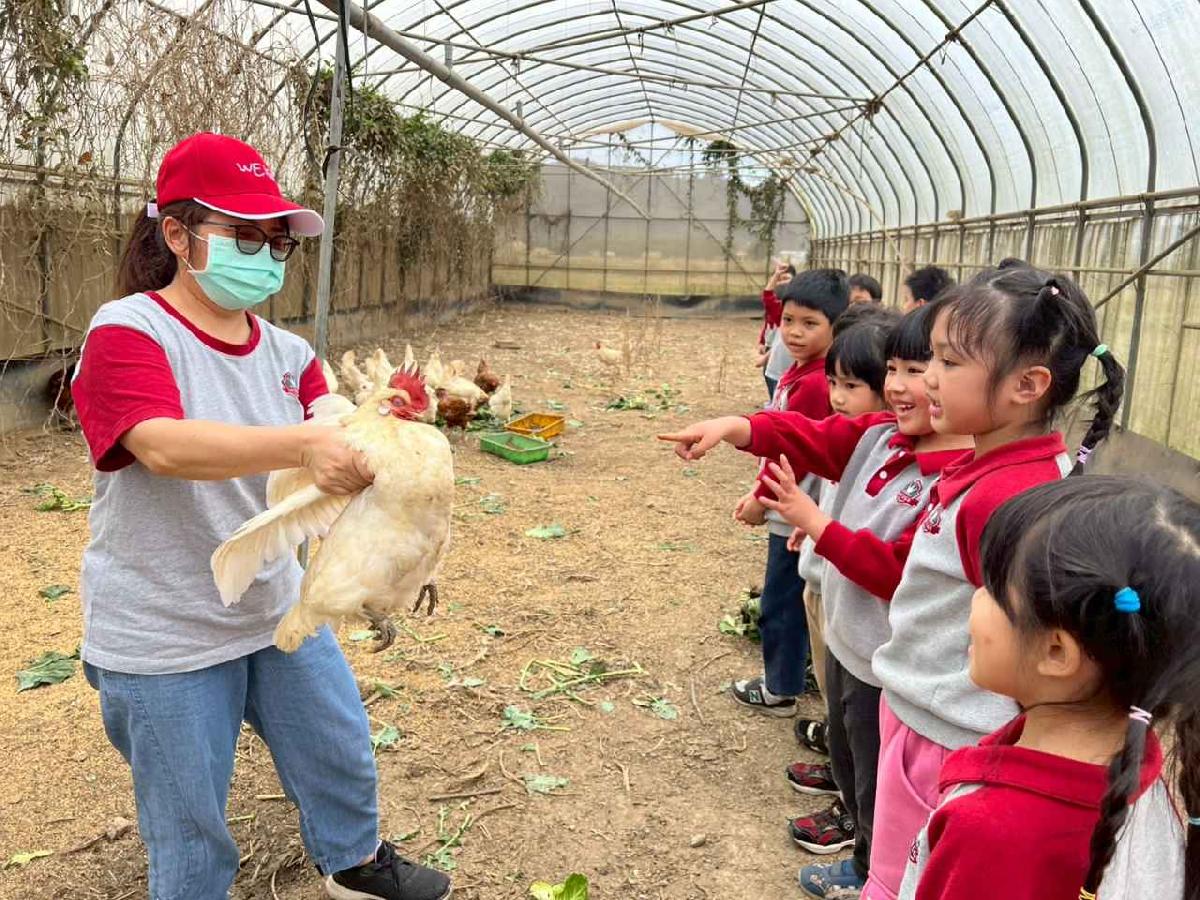 line_album_115.01.30餵雞拔菜_260130_50