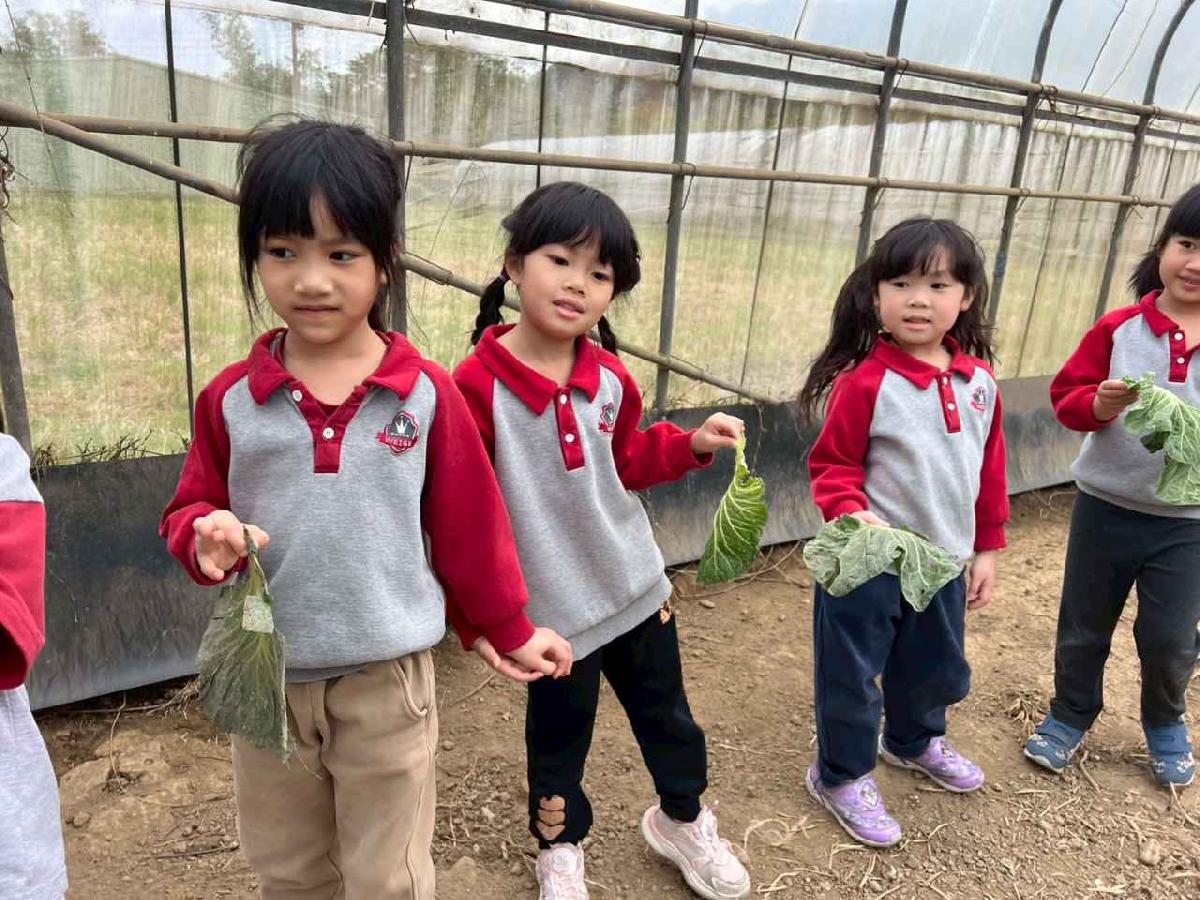 line_album_115.01.30餵雞拔菜_260130_73