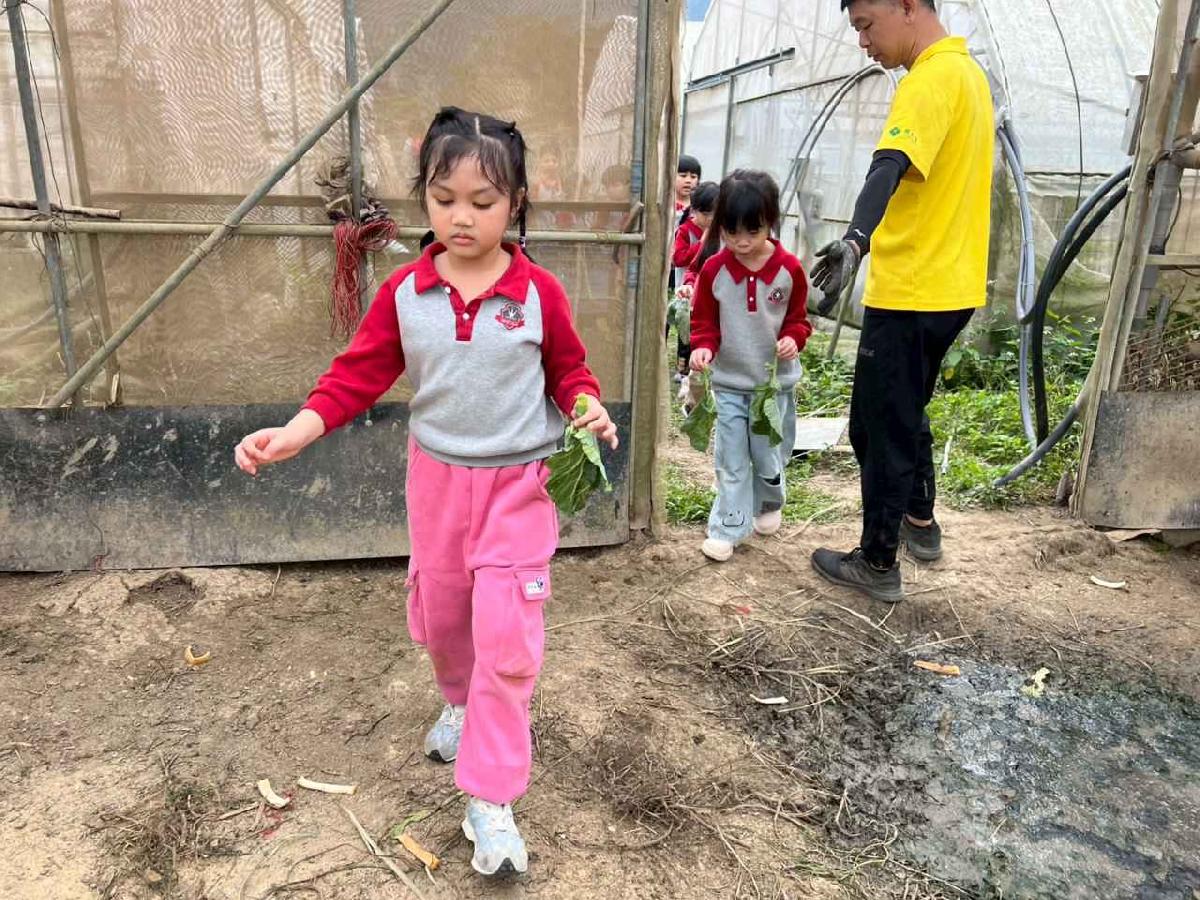 line_album_115.01.30餵雞拔菜_260130_74