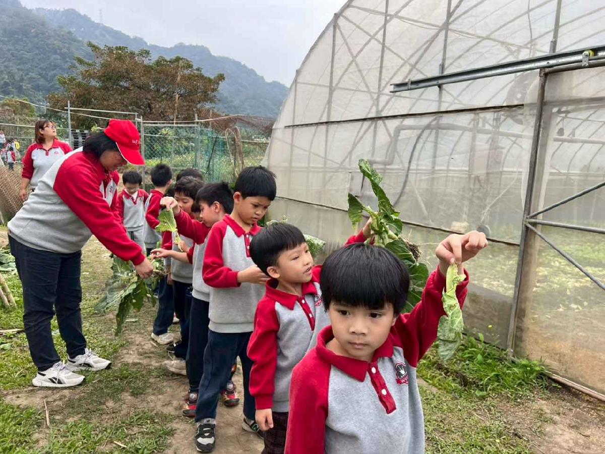 line_album_115.01.30餵雞拔菜_260130_75