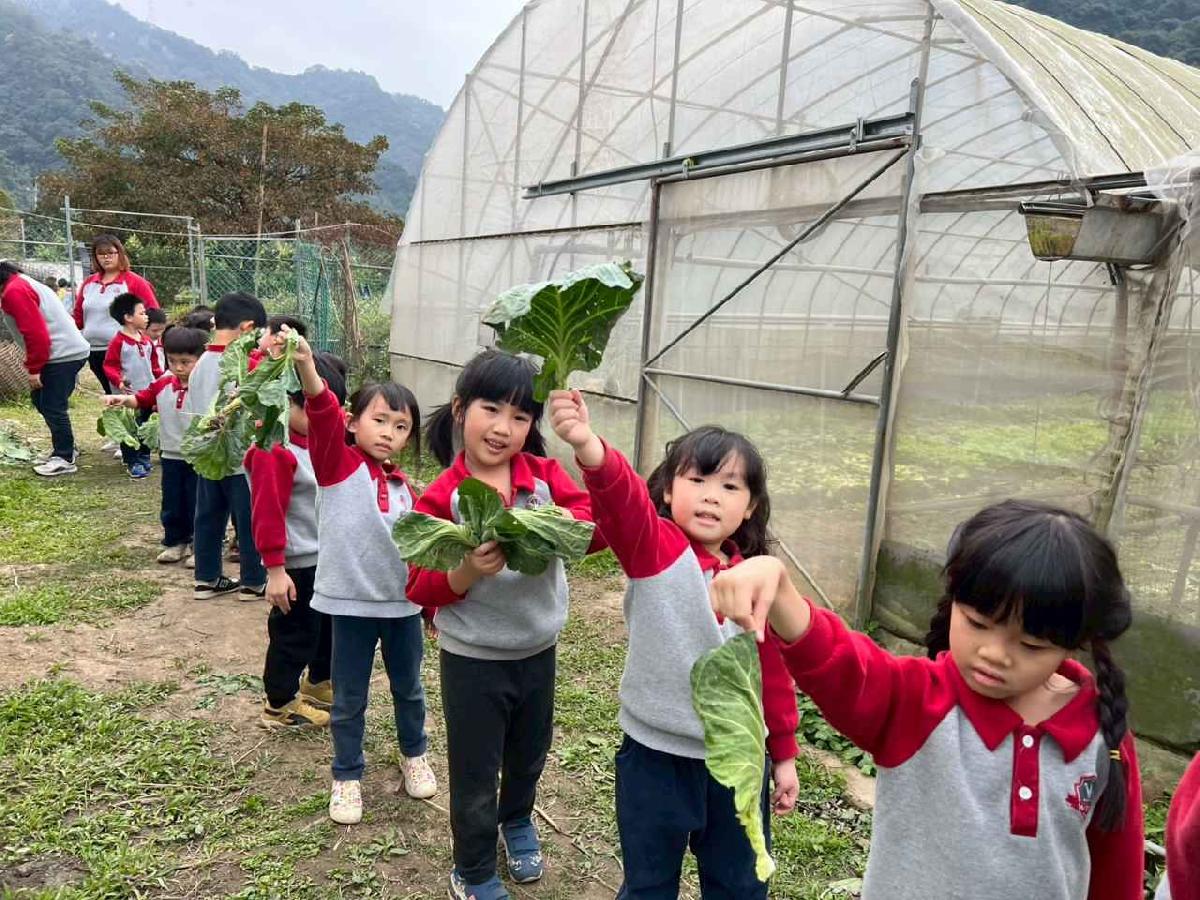 line_album_115.01.30餵雞拔菜_260130_77