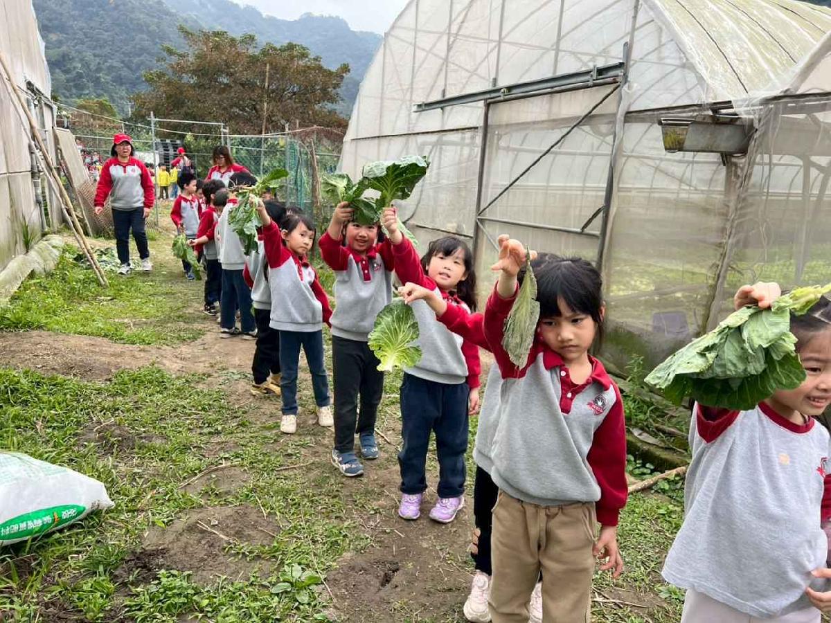 line_album_115.01.30餵雞拔菜_260130_78