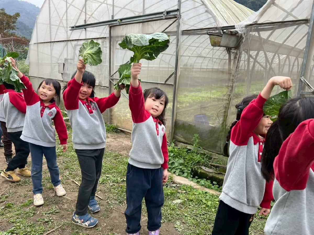 line_album_115.01.30餵雞拔菜_260130_79