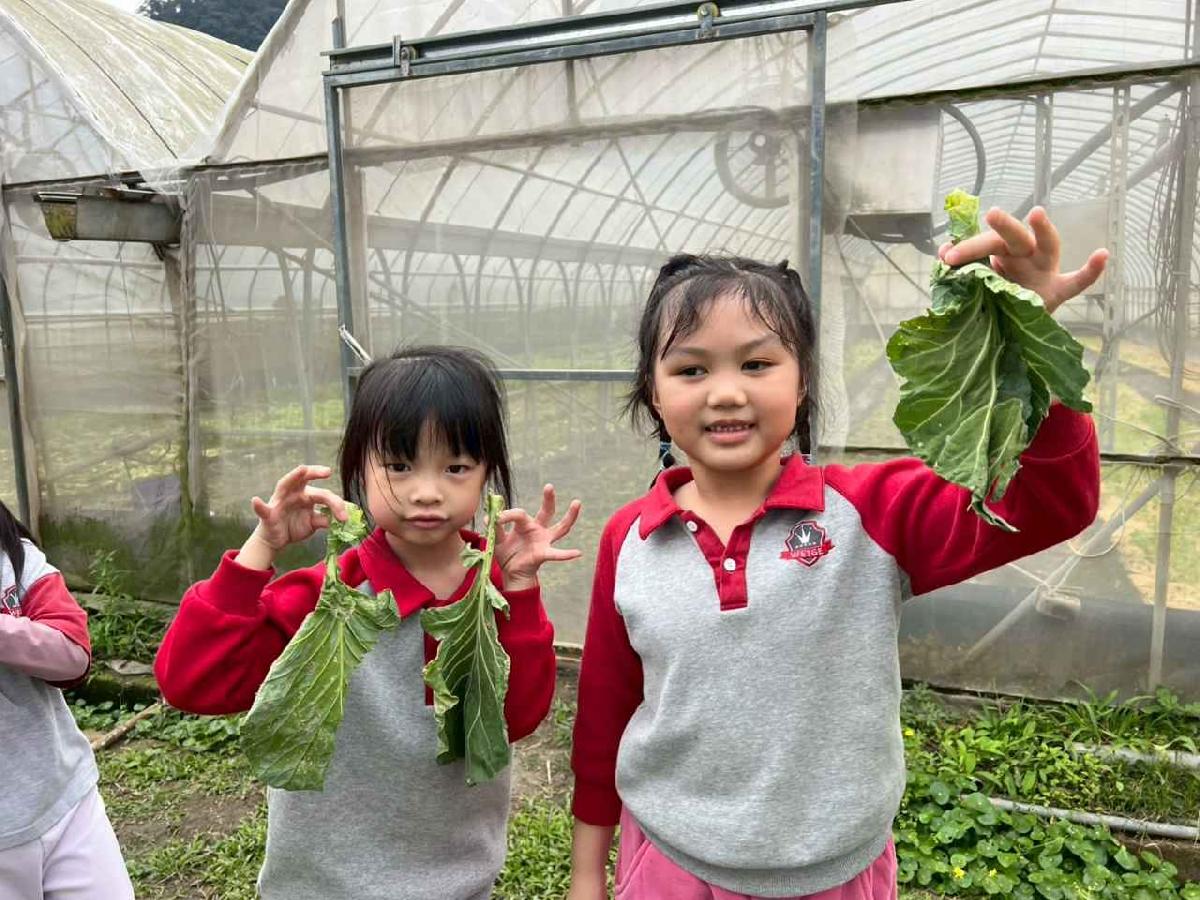 line_album_115.01.30餵雞拔菜_260130_82