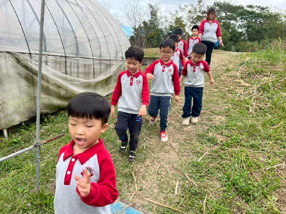 line_album_115.01.30餵雞拔菜_260130_87