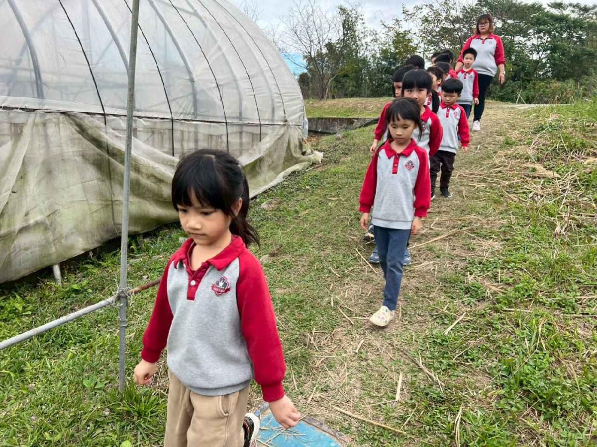 line_album_115.01.30餵雞拔菜_260130_90