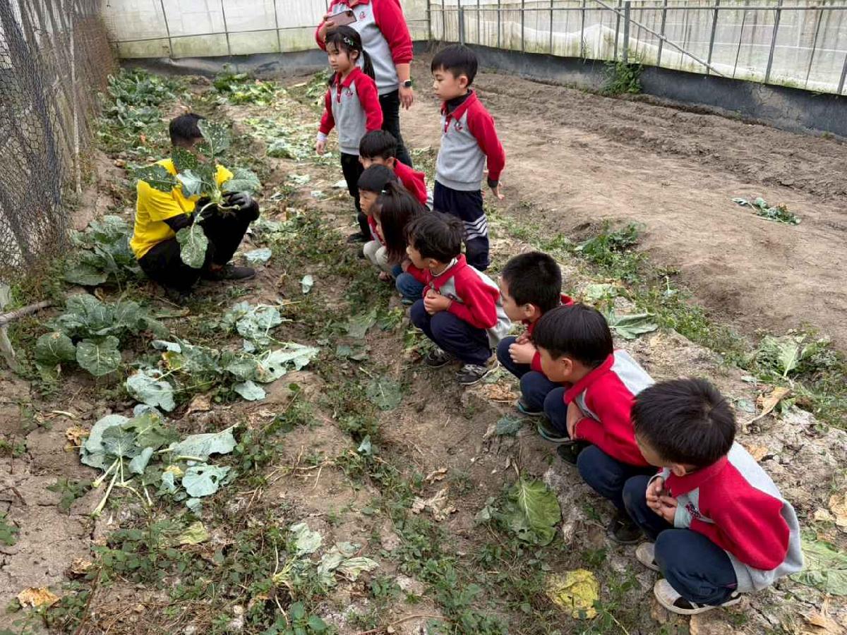 line_album_2026130_260130_172