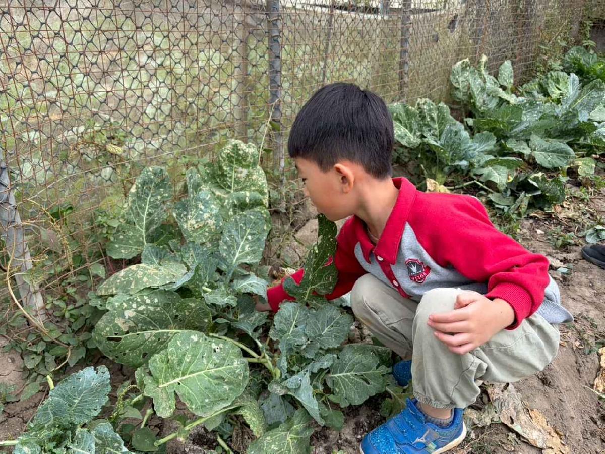 line_album_2026130_260130_176