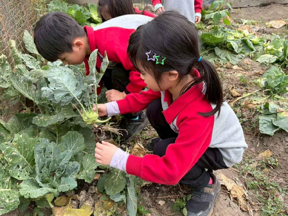 line_album_2026130_260130_179