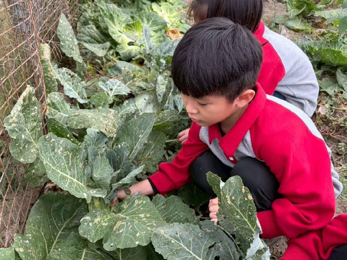 line_album_2026130_260130_180