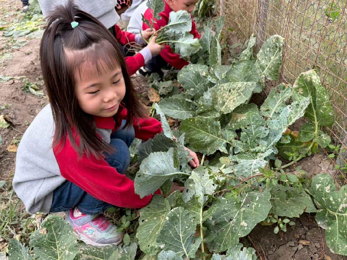 line_album_2026130_260130_181