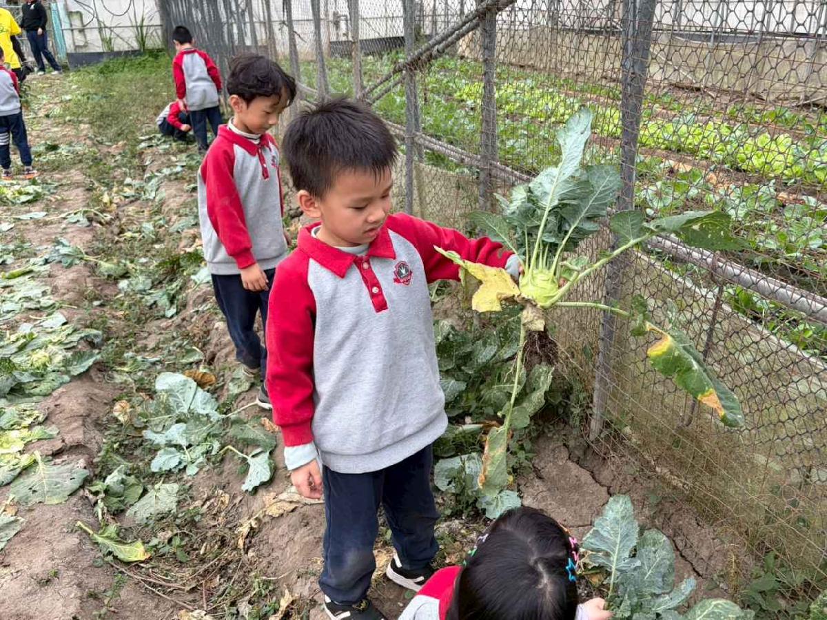 line_album_2026130_260130_183