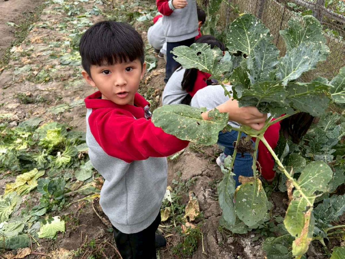 line_album_2026130_260130_184