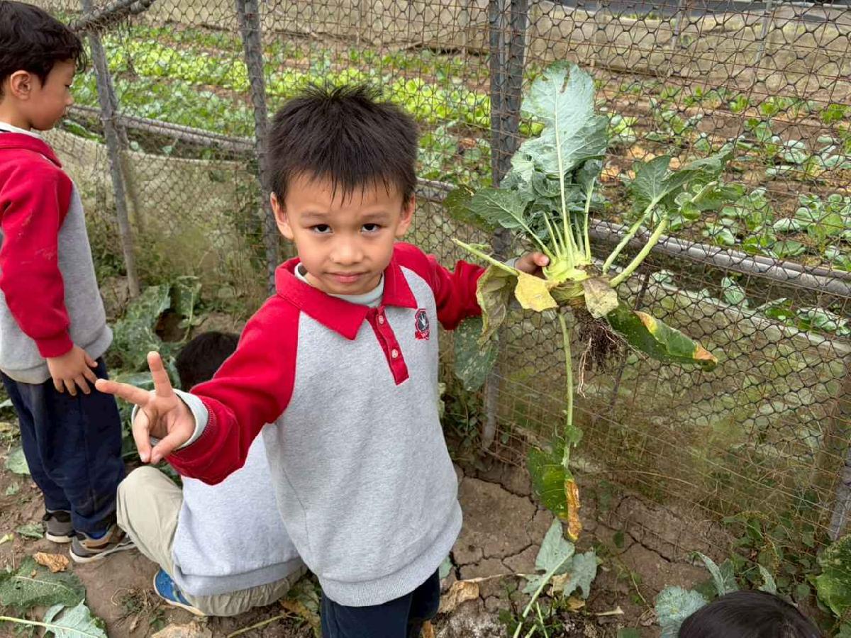 line_album_2026130_260130_185