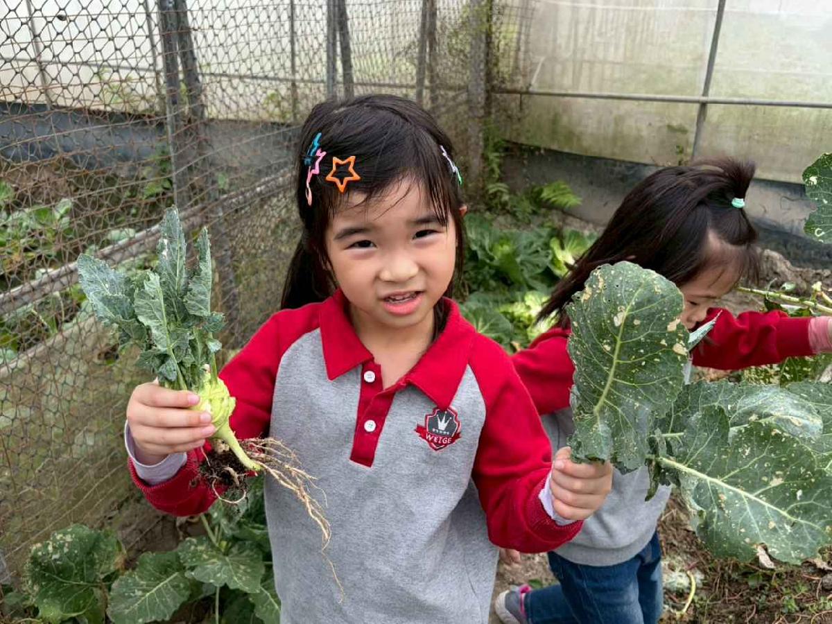 line_album_2026130_260130_187