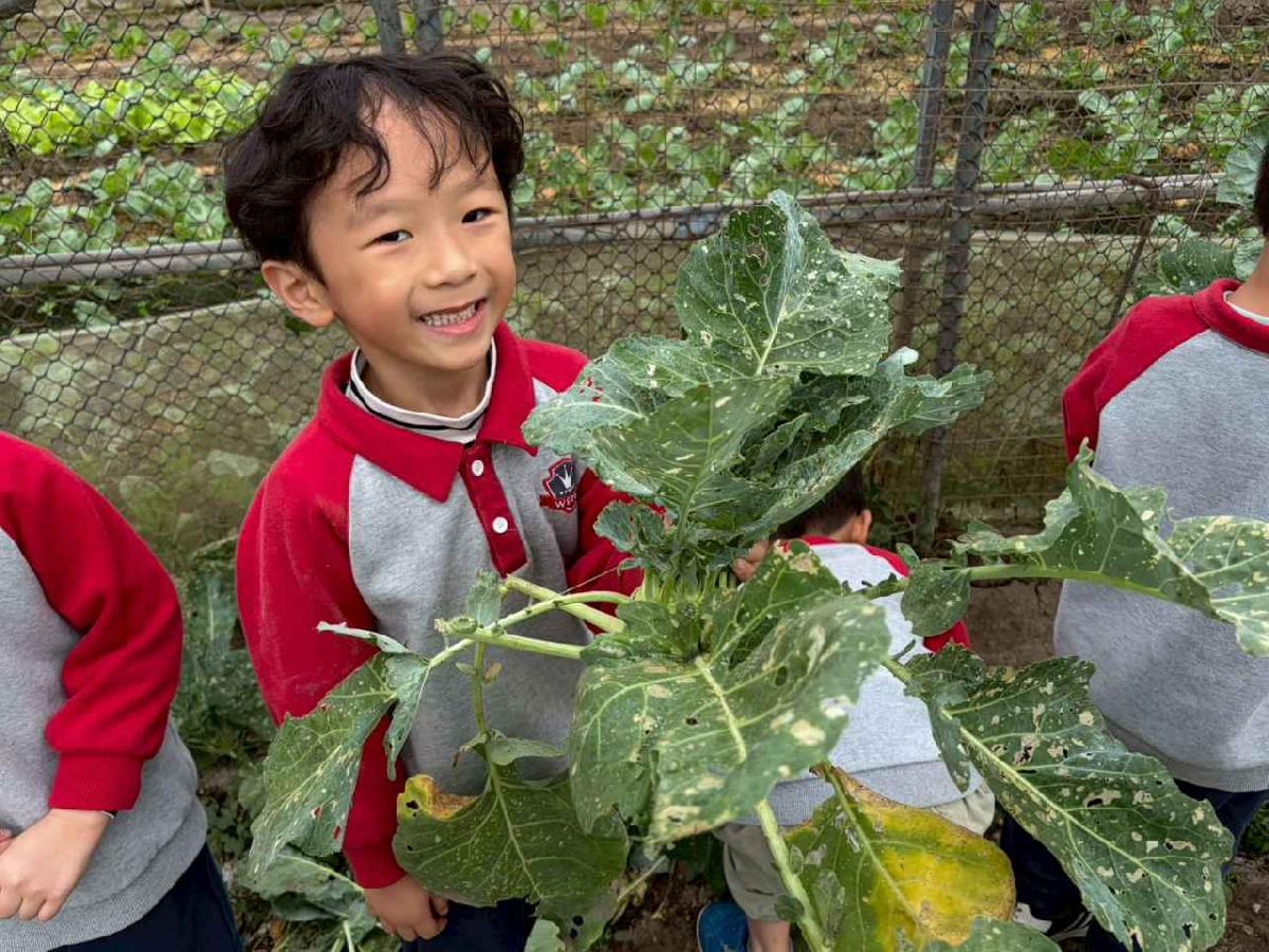 line_album_2026130_260130_188