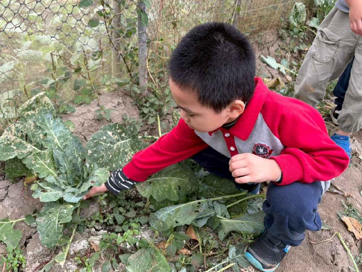 line_album_2026130_260130_189