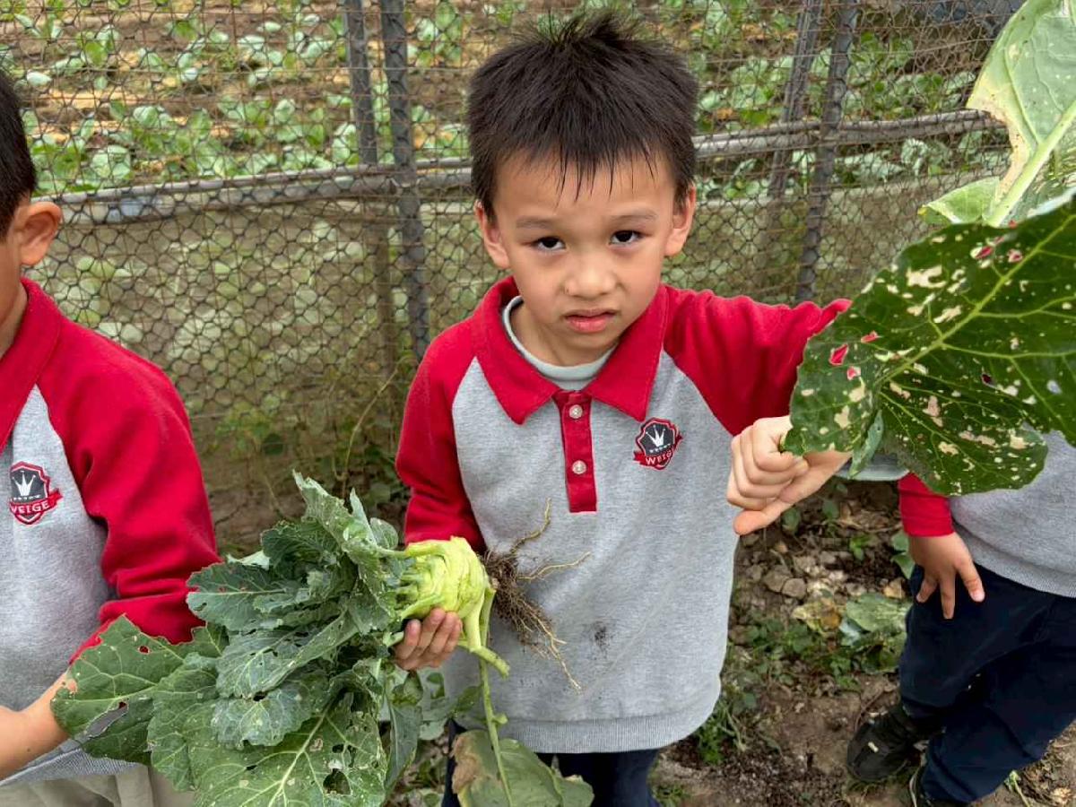 line_album_2026130_260130_195