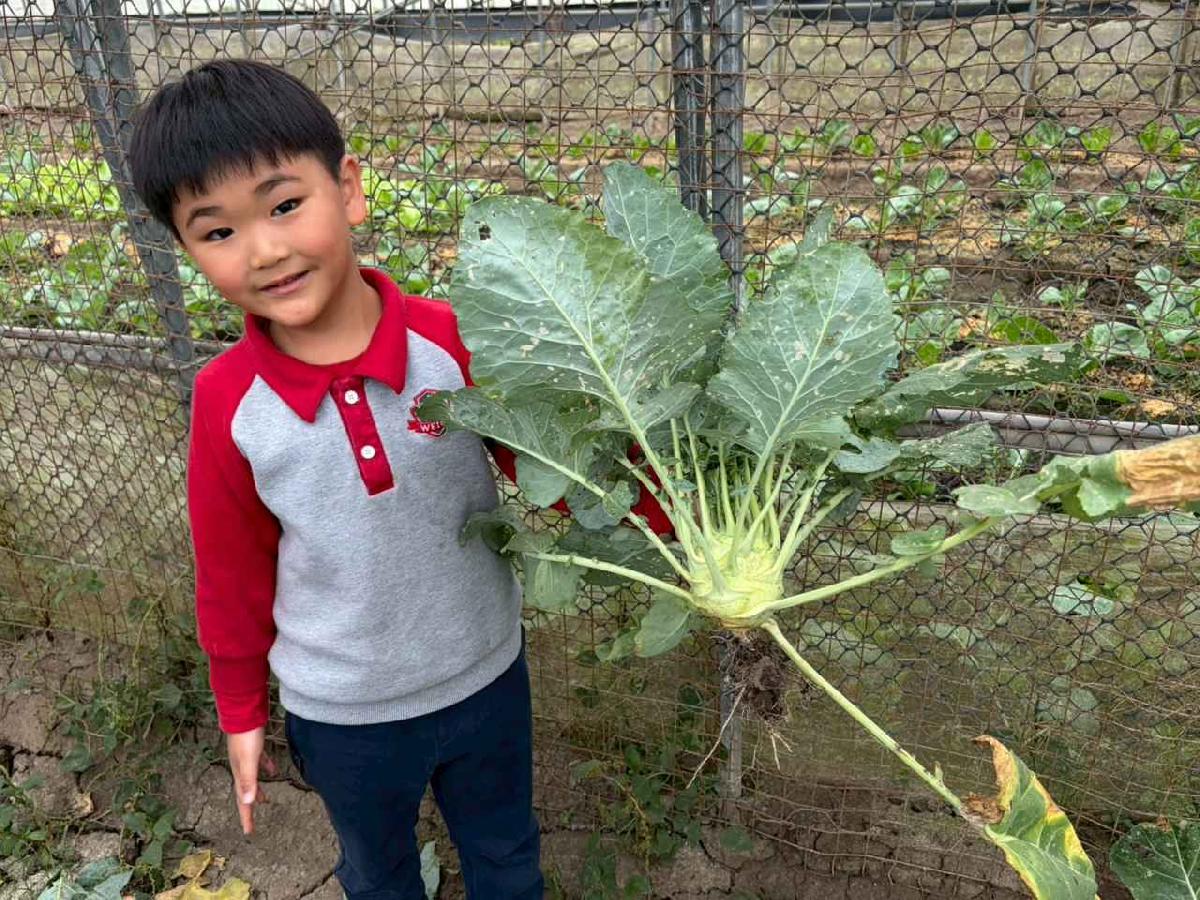 line_album_2026130_260130_196