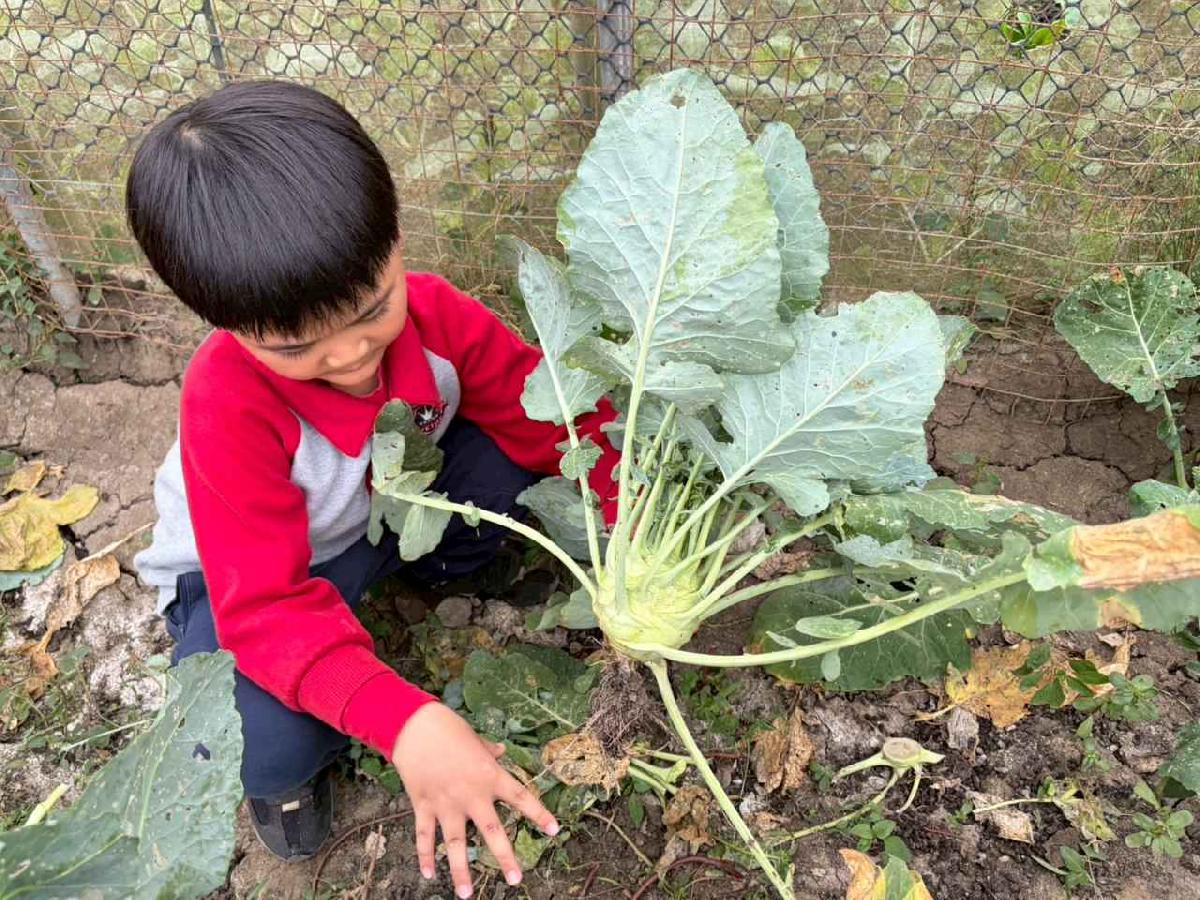 line_album_2026130_260130_198