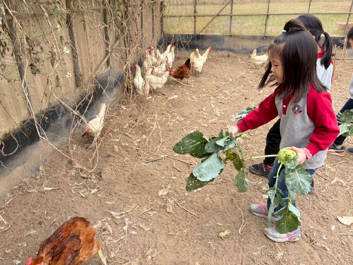 line_album_2026130_260130_206