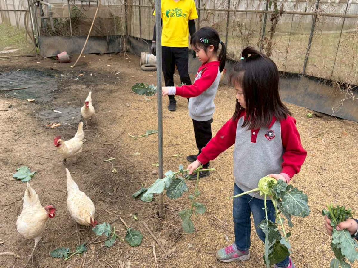 line_album_2026130_260130_213