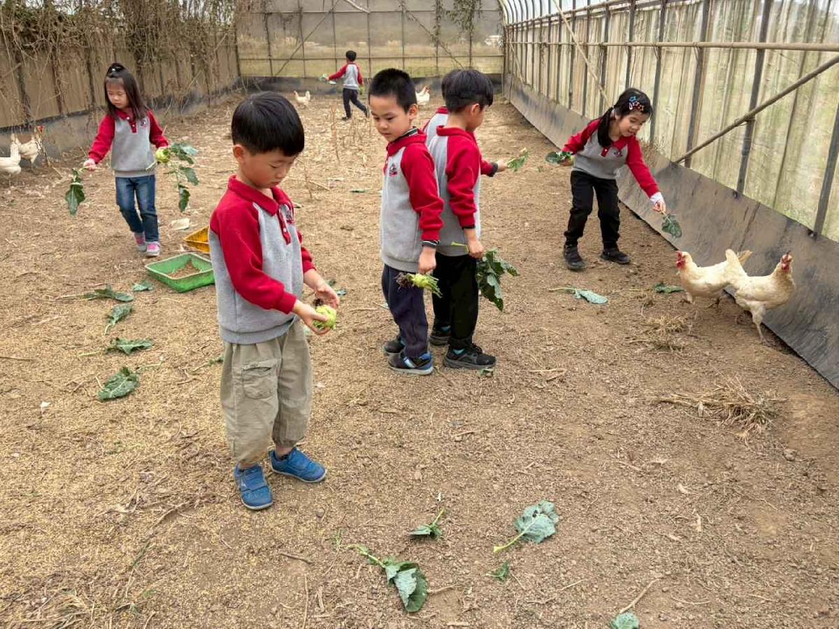 line_album_2026130_260130_216