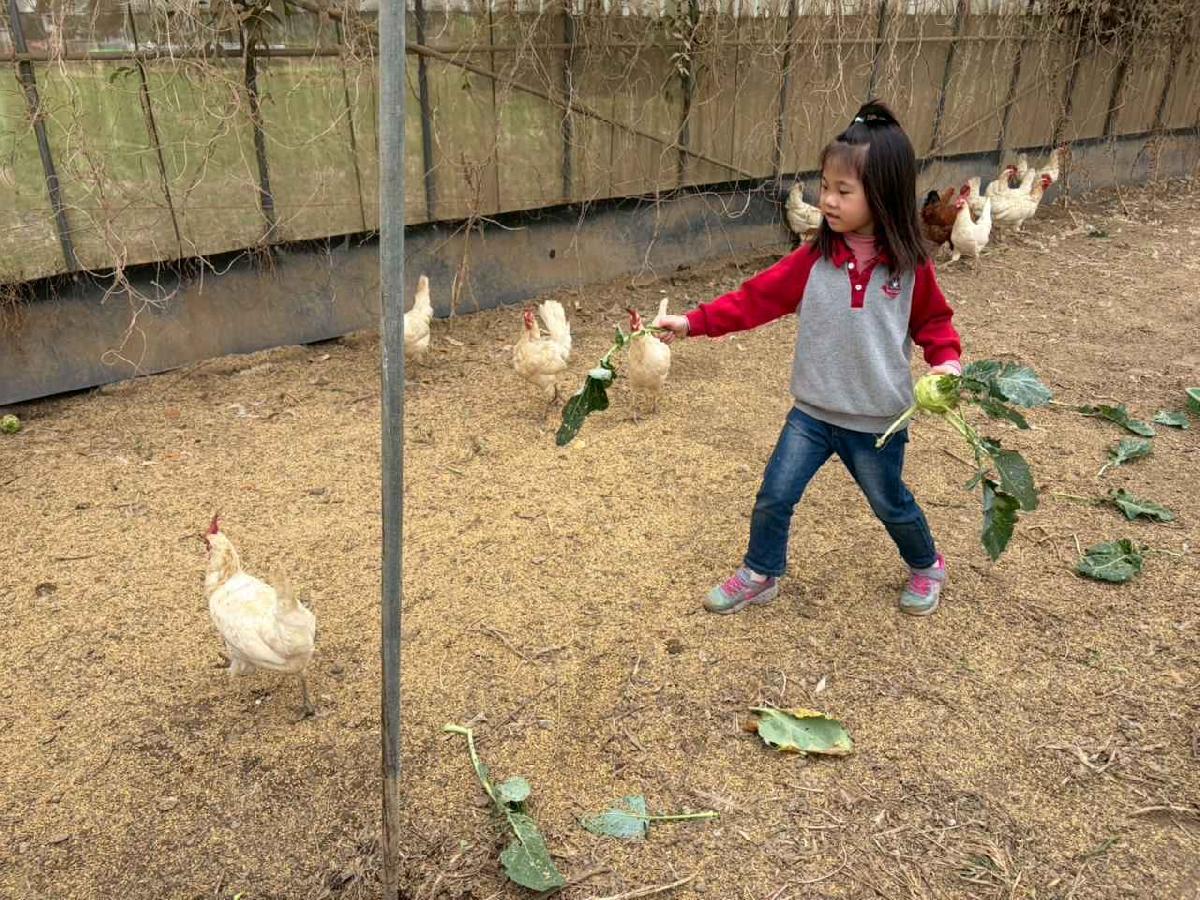 line_album_2026130_260130_218