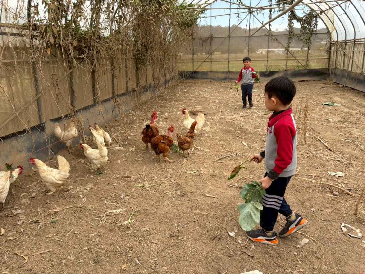 line_album_2026130_260130_219