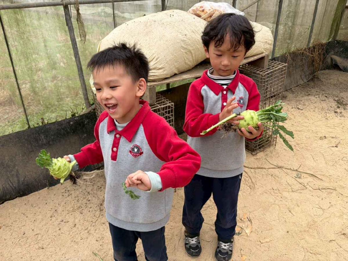 line_album_2026130_260130_228