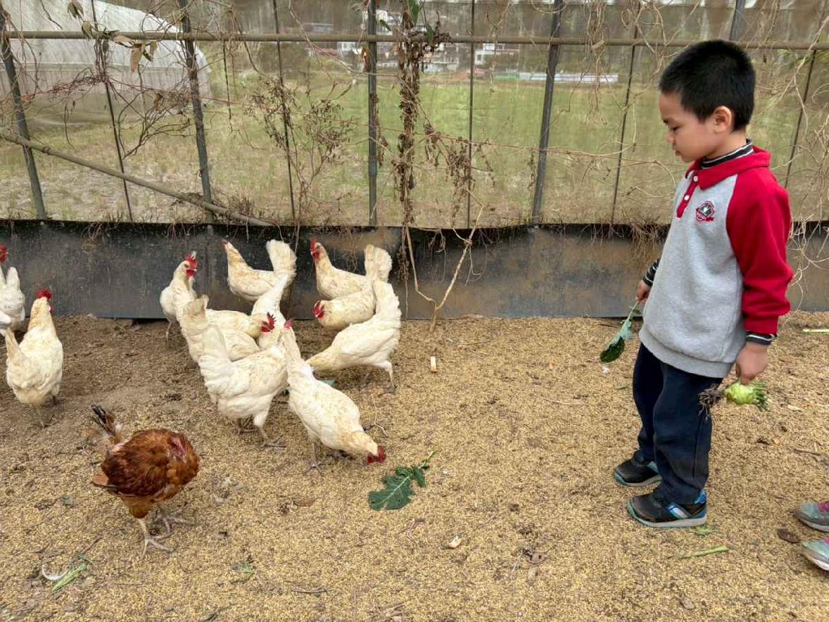 line_album_2026130_260130_235