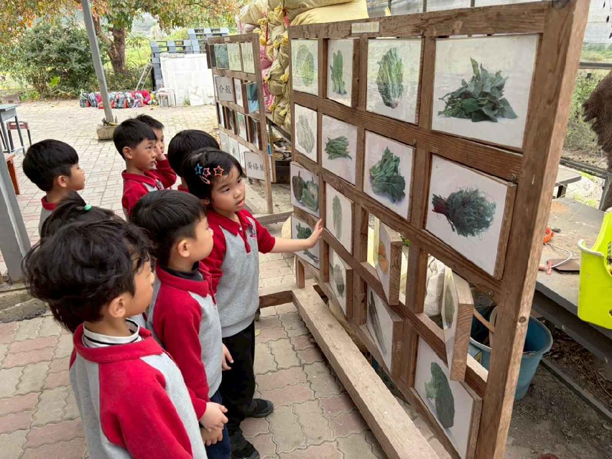 line_album_2026130_260130_240