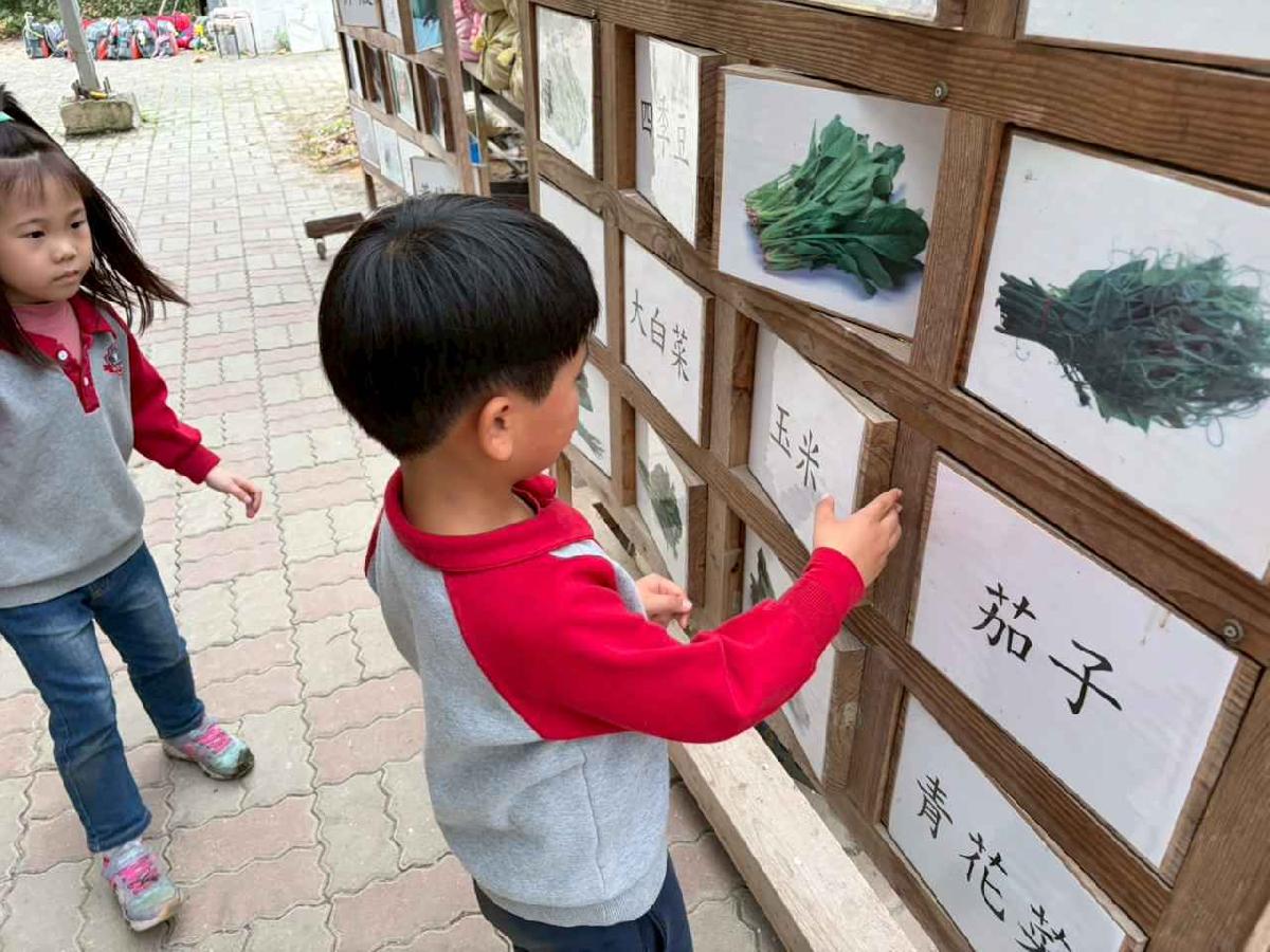 line_album_2026130_260130_249