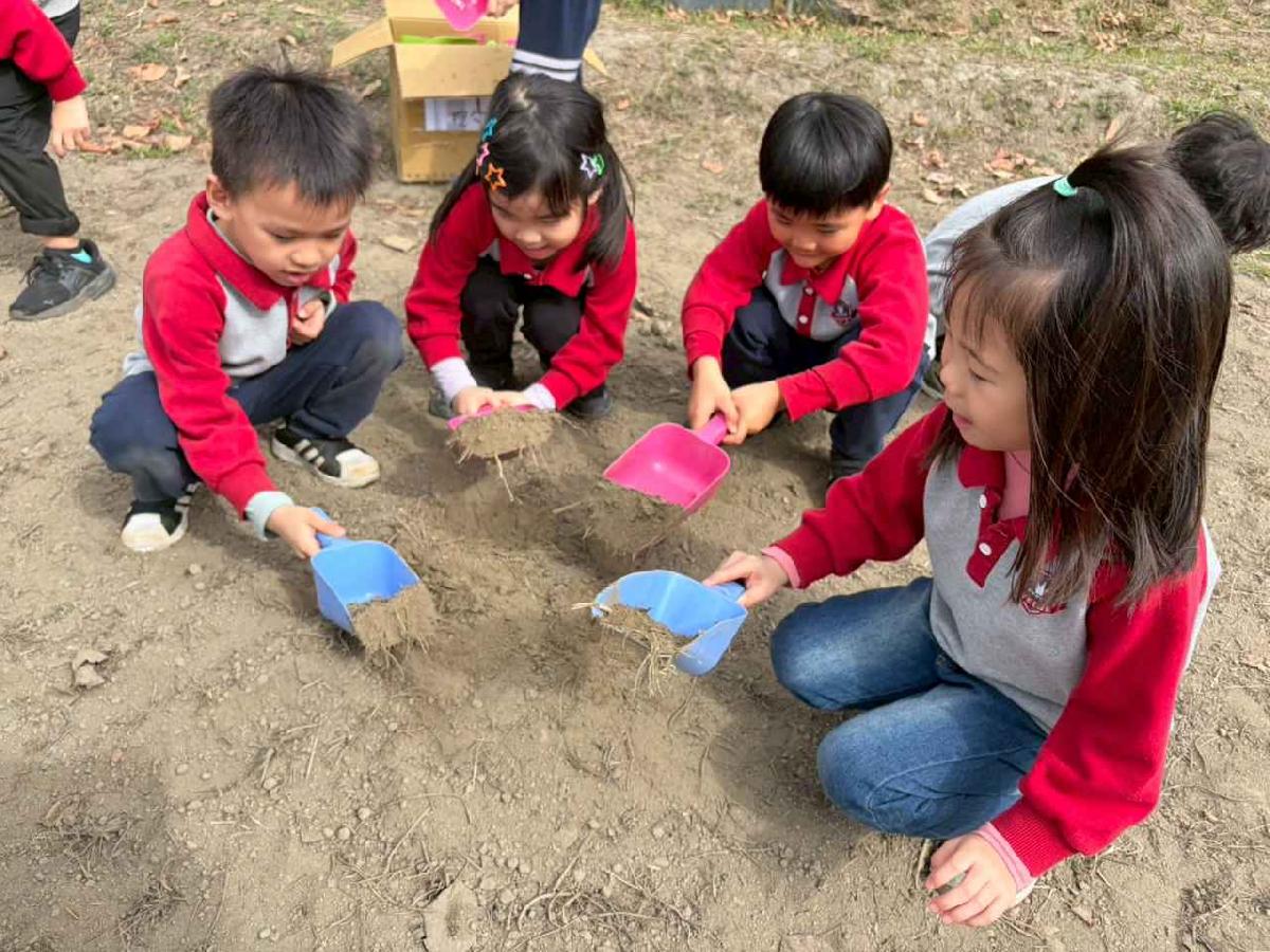 line_album_2026130_260130_275