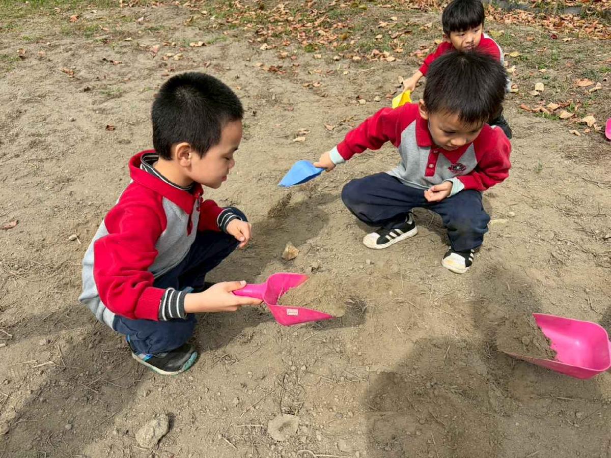 line_album_2026130_260130_277