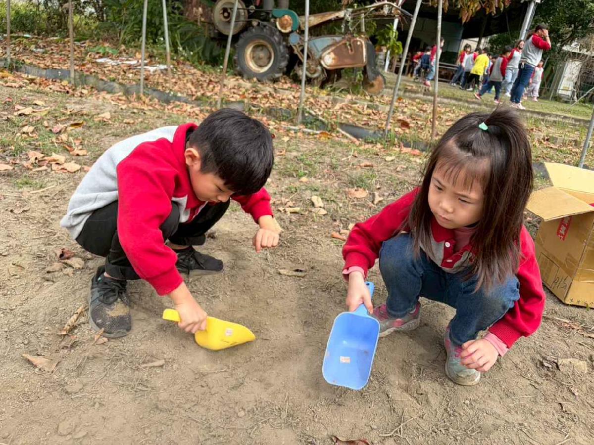 line_album_2026130_260130_289