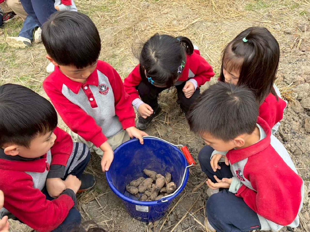 line_album_2026130_260130_313