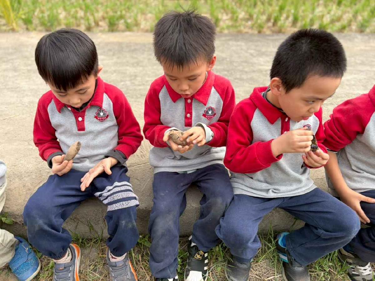 line_album_2026130_260130_316