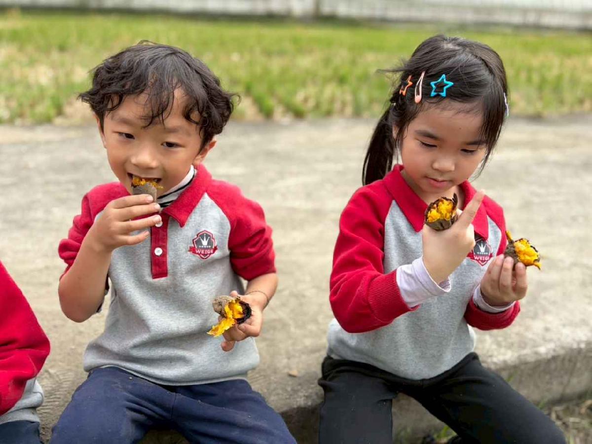 line_album_2026130_260130_318